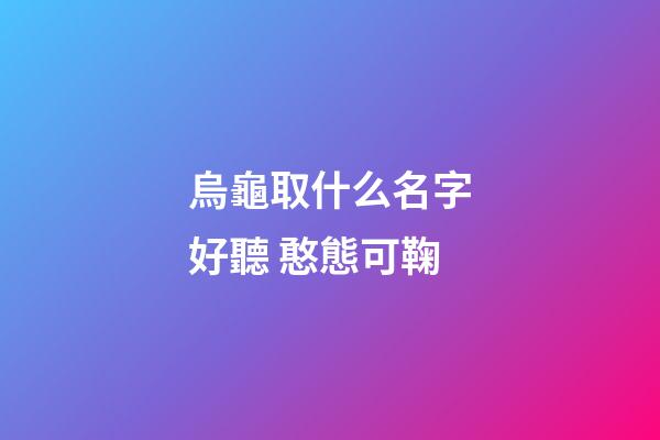 烏龜取什么名字好聽 憨態可鞠